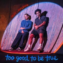 Too Good To Be True Chords by Anees
