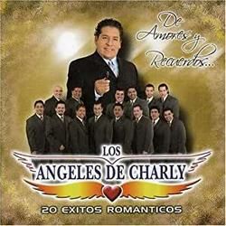 No Te He Dejado De Amar Chords by Angeles De Charly