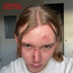 You Call It Love Chords by Angry Angles