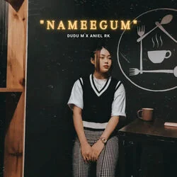 Nameegum Acoustic Chords by Aniel Rk