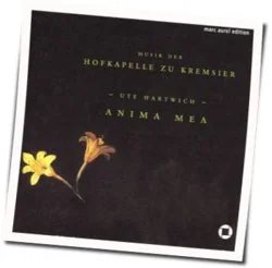 Artista Chords by Anima Mea