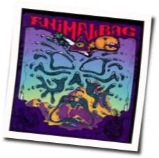 Oddball Chords by Animal Bag