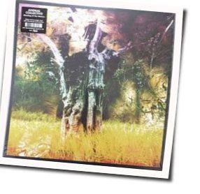 Blue Noses Tab by Animal Collective