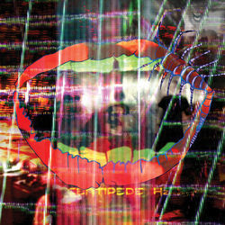 New Town Burnout Ukulele Chords by Animal Collective