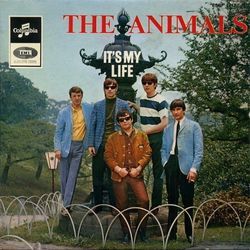 ITS MY LIFE Chords by The Animals | Chords Explorer ITS MY LIFE Chords by The Animals | Chords Explorer