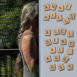 Anne Hills chords for Accidental august
