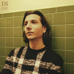 18 Chords by Anson Seabra