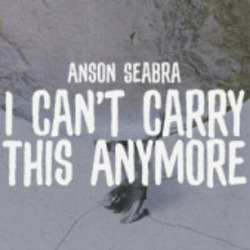 I Can't Carry This Anymore by Anson Seabra
