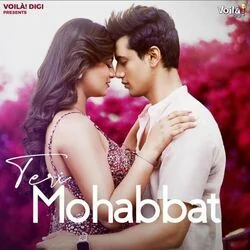teri mohabbat