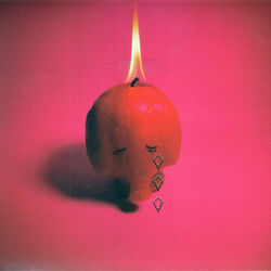 Pink Elephant Intro by Arcade Fire