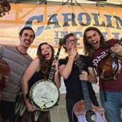 If You're The Coffee Chords by The Arcadian Wild