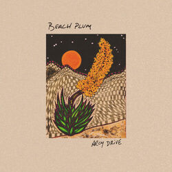 Desert Song Solo Tab by Arcy Drive