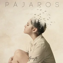 Pájaros Chords by Ariana Zar