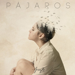Pájaros Chords by Ariana Zar