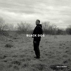 Black Dog Tab by Arlo Parks