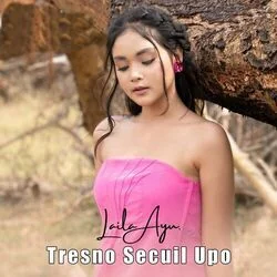 Kiyu Kiyu Sopir Truk Bojone Ayu Chords by Arya Galih