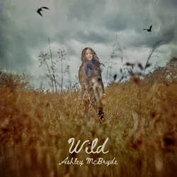 Wild Chords by Ashley McBryde