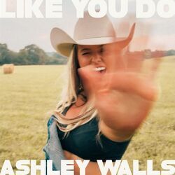 Like You Do by Ashley Walls
