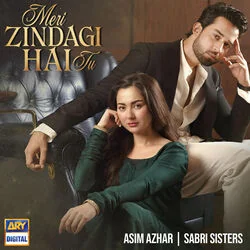 Meri Zindagi Hai Tu Chords by Asim Azhar