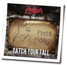 Catch Your Fall Chords by Aslan