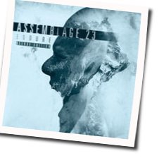 Salt The Earth Chords by Assemblage 23