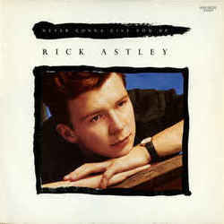 Never Gonna Give You Up by Rick Astley