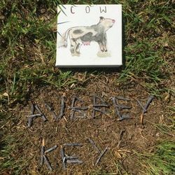Flies Chords by Aubrey Key