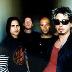 Dandelion Bass Tab by Audioslave