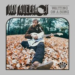 Never In My Wildest Dreams Ukulele by Dan Auerbach