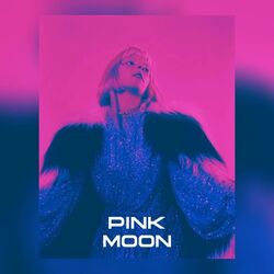 Pink Moon Chords by AURORA