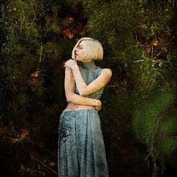 Running With The Wolves Ukulele Chords by AURORA