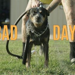 Bad Days by Austin Meade