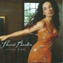 Never Been Kissed Chords by Sherrié Austin