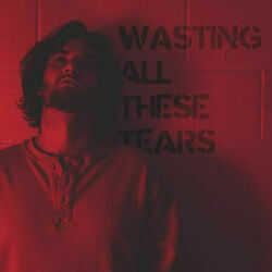 Wasting All These Tears by Austin Snell