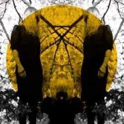 The Noise Chords by Austra