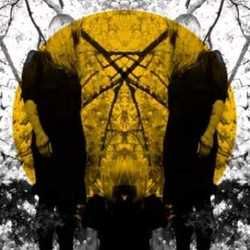The Noise by Austra