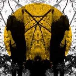 The Noise Chords by Austra