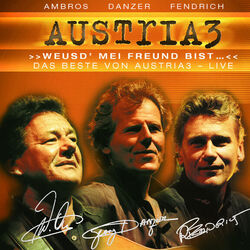 Manchmal Denk I No An Di Chords by Austria3