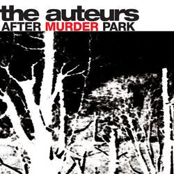 Unsolved Child Murder Chords by The Auteurs