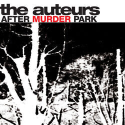 Unsolved Child Murder Chords by The Auteurs