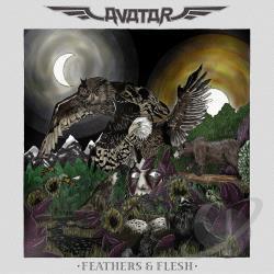 Sky Burial Chords by Avatar