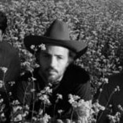 I Go To My Heart Chords by The Avett Brothers