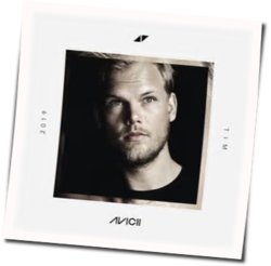 Never Leave Me by Avicii