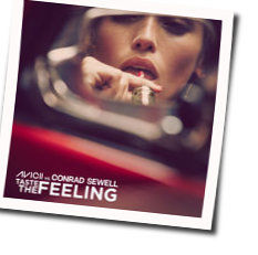 Taste The Feeling  by Avicii