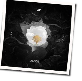Without You Tabs by Avicii