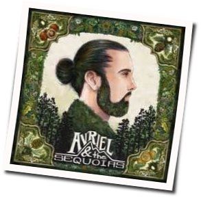 Song For The Seeker Chords by Avriel And The Sequoias