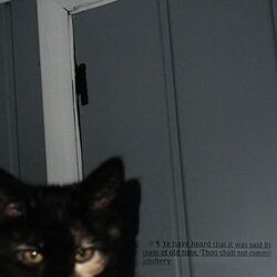 Godhateswhatwedid Chords by Awannabe