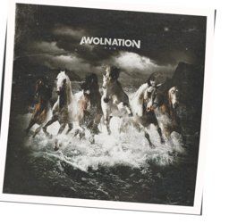 Like People Like Plastic Chords by AWOLNATION