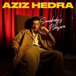Somebodys Pleasure by Aziz Hedra