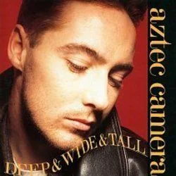 Deep Wide Tall Chords by Aztec Camera